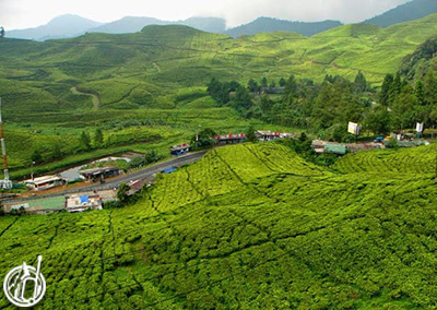 Jakarta Puncak Bali 10 Days