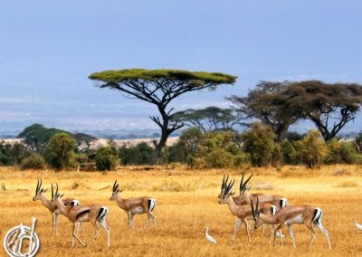 East Java Adventure Tour Package 7 Days 6 Nights